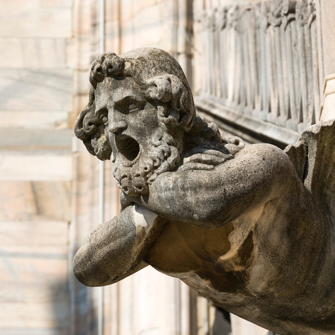 Doccione del Duomo di Milano