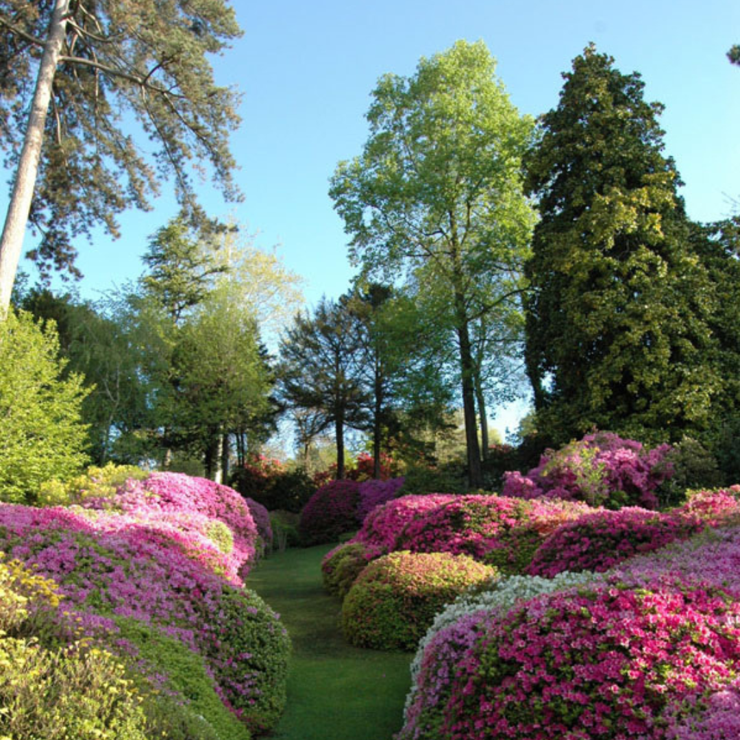 Giardini di Villa Carlotta